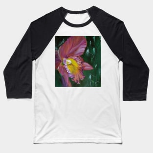 Orchid Baseball T-Shirt